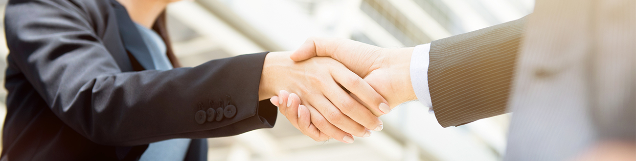 Two people shaking hands.